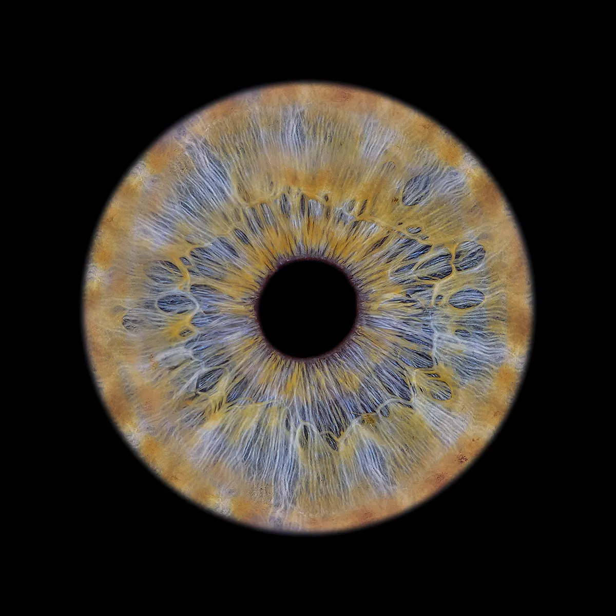 Iris Pigmentflecken und Farbwolken in Nahaufnahme (1:1)