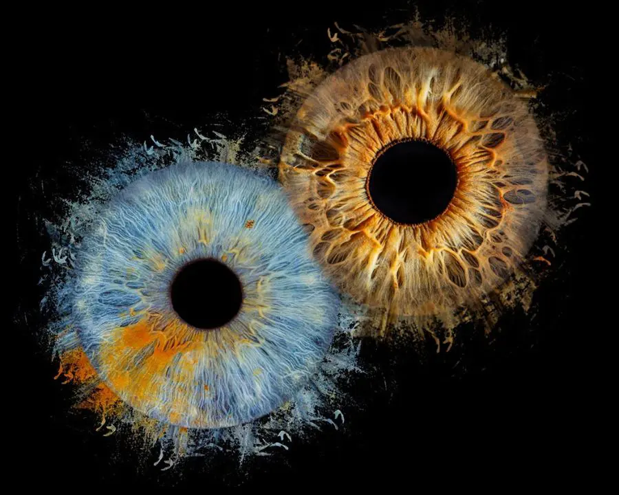 Paarmotiv Iris Fotografie Augsburg